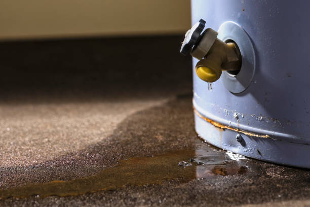 Best Flood restoration services  in Silver Springs, FL