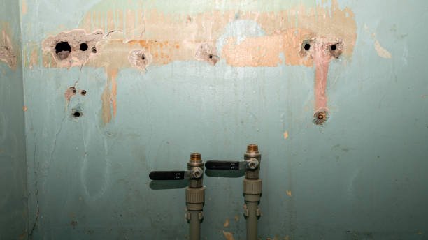 Best Local water damage restoration  in Silver Springs, FL