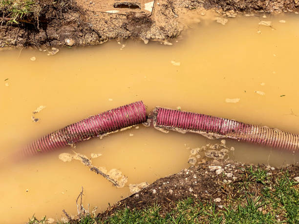 Trusted Silver Springs, FL Water damage restoration Experts